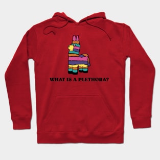 What is a Plethora Hoodie